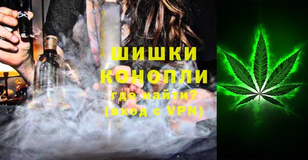 PSILOCYBIN Липки